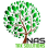 NAS Tax Solutions Ltd logo