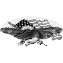 nashvillebanner.com
