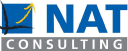 nat-consulting.com