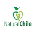 natural-chile.cl
