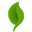 Logo for natures-miracle.com
