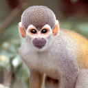 Ecotour Expeditions, Inc.