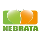 nebrata.com