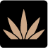 Nectar Logo