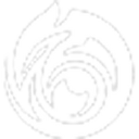 Logo for neo4ic.com