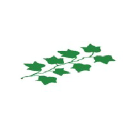 Neo Ivy Capital