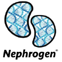 nephrogenbiotech.com