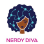 Nerdy Diva logo