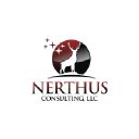 nerthusconsulting.com