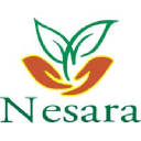 nesara.in