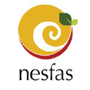 nesfas.in