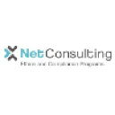 Net^3 Consulting