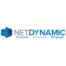 NetDynamic Consulting Inc. logo