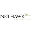 nethawk.net