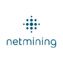 Netmining logo