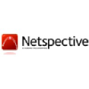 netspective.com