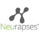 neurapses.com