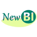 new-bi.net