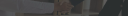 Newjerseyonlinedivorce