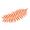 Newzealandtrends