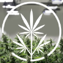 Next Big Crop, A General Cannabis Company