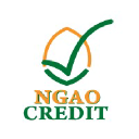 ngaocredit.com