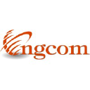 ngcomnetworks.com