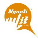 nguetisolutions.org