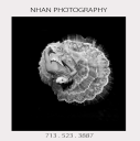 nhanphotography.com