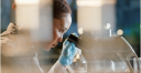 Niagen Bioscience logo