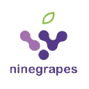 ninegrapes.com