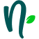 Ninelife Uae