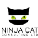 ninjacatconsulting.com
