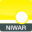 Avatar logo