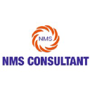 nmsconsultant.com