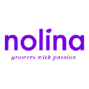 nolina.nl
