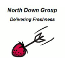 northdowngroup.com