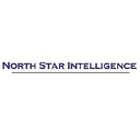 northstarintelligence.com