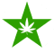 North Star THC Logo
