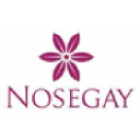 nosegayflowers.net