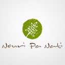 www.nouripanati.com logo