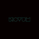 Novum Salons logo