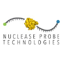 Nuclease Probe Technologies