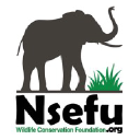 nsefu.org