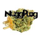 Nuggplug
