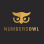 Numbersowl logo