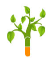 NutreeVit