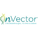 nVector