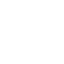 Nxt Level Company
