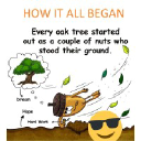 oaktreesolutions.com
